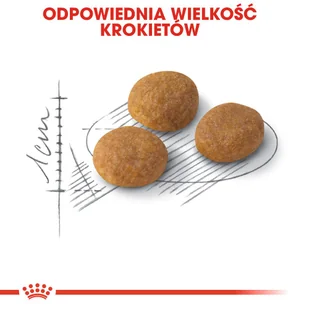 ROYAL CANIN  Exigent Aromatic Attraction 33 400g karma sucha dla kotów dorosłych, wybrednych, kierujących się zapachem  + niespodzianka dla kota GRATIS! - Sucha karma dla kotów - miniaturka - grafika 8