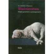 Religia i religioznawstwo - Biblioteka Więzi Andrzej Draguła Bluźnierstwo między grzechem a przestępstwem - miniaturka - grafika 1