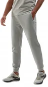 Spodnie męskie - Męskie spodnie dresowe 4F TROM645 25S szary XL - miniaturka - grafika 1