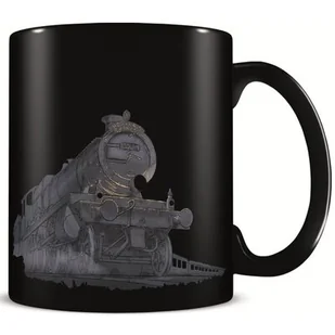 Kubek PYRAMID Harry Potter Blask nadziei Czarno-szary - Gadżety dla graczy - miniaturka - grafika 1