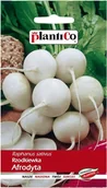 Nasiona i cebule - NASIONA Rzodkiewka Afrodyta 5g PLANTICO Biała 406186 - miniaturka - grafika 1