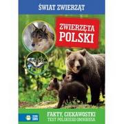 Baśnie, bajki, legendy - Zielona Sowa Zwierzęta Polski Świat Zwierząt - Zielona Sowa - miniaturka - grafika 1