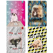 Teczki i skoroszyty - EV-Corp Teczka A4 z gumką Best Friend zwierzaki - miniaturka - grafika 1