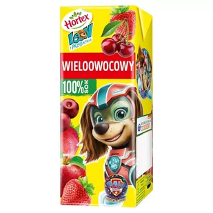 Hortex Leon i Przyjaciele Sok 100 % wieloowocowy 200 ml - Soki i napoje niegazowane - miniaturka - grafika 1