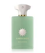 Wody i perfumy męskie - Amouage Odyssey Meander Woda perfumowana 100 ml - miniaturka - grafika 1