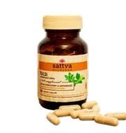 Zioła - Sattva Ayurveda Tulsi Ekstrakt Kapsułki - miniaturka - grafika 1
