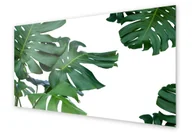 Dekoracje domu - Panel kuchenny HOMEPRINT Zielone liście monstera 100x50 cm - miniaturka - grafika 1