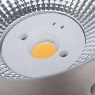Lampy ogrodowe - Paulmann Durea 200 oprawa wpuszczana LED Ø 21,3cm - miniaturka - grafika 1