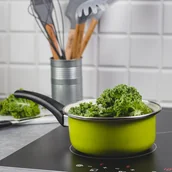 Garnki - Emalia Olkusz OLKUSZ RONDEL 16 CM 1,3L STAL EMALIOWANA INDUKCJA 35192 - miniaturka - grafika 1