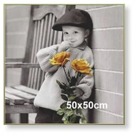 Ramki na zdjęcia - Rama aluminiowa do plakatu 50x50cm, złota anoda / ARTVIC - miniaturka - grafika 1