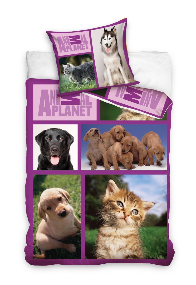 Komplet pościeli Animal Planet Zwierzęta domowe 135 x 200, 70x80 cm