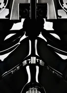 Plakaty - Face It! Star Wars Gwiezdne Wojny - Pilot Trooper - plakat 42x59,4 cm - miniaturka - grafika 1