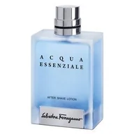 Wody po goleniu - SALAVATORE FERRAGAMO Salvatore Ferragamo Acqua Essenziale Pour Homme Woda po goleniu 100ml Salvatore Ferragamo - miniaturka - grafika 1