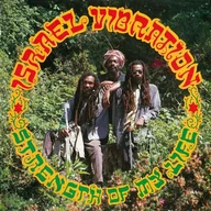Reggae - Israel Vibration - miniaturka - grafika 1