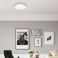 Lampy ścienne - Eko-Light Plafon PEPE 20W LED 390 mm ML6066 - miniaturka - grafika 1