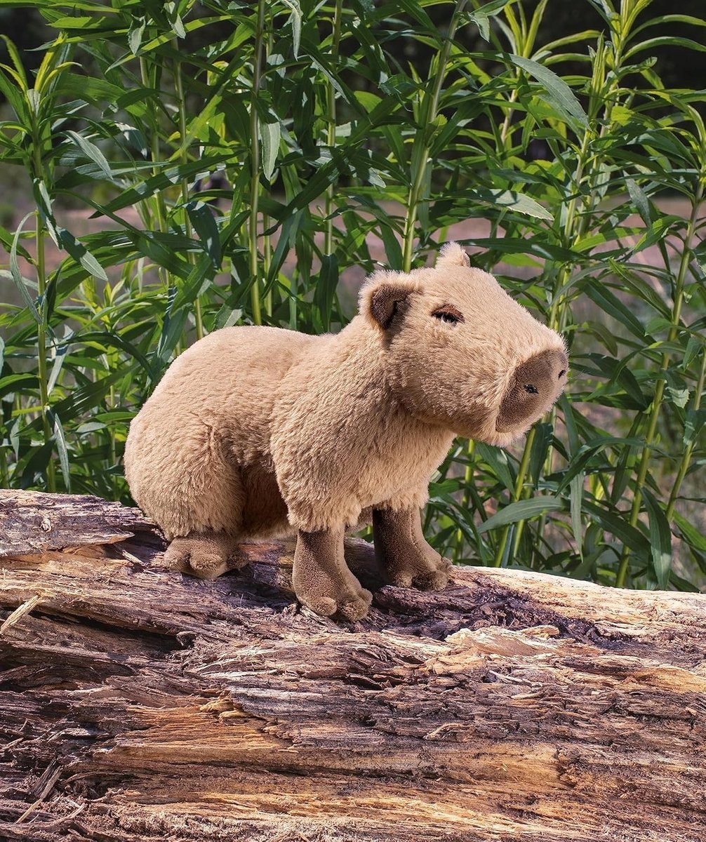PLUSZOWA MASKOTKA KAPIBARA PRZYTULANKA ZABAWKA DLA DZIECI 24 CM