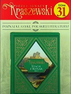Czasopisma - Józef Ignacy Kraszewski Tom 31 - miniaturka - grafika 1