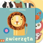 Książki edukacyjne - Zwierzęta. Dotykaj i poznawaj - miniaturka - grafika 1