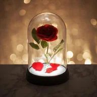 Latarki - Disney Enchanted Rose Light: P. derive PP4344DP - miniaturka - grafika 1