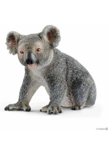 Miś koala - Albumy krajoznawcze - miniaturka - grafika 1