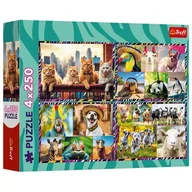 Puzzle - Puzzle 4x250 elementów Zabawne zwierzaki (13313). od 7 lat - miniaturka - grafika 1