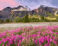 Malowanie po numerach - Twoje Hobby Malowanie po numerach. Kwiaty w pobliżu gór 40 x 50 cm - miniaturka - grafika 1