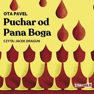 Audiobooki - literatura piękna - Puchar od Pana Boga - miniaturka - grafika 1