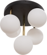 Lampy sufitowe - Ali lampa sufitowa 5-punktowa czarna/złota 5645 - miniaturka - grafika 1