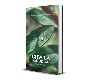 Chwila łaGODNA. Kojące pieśni duszy - Poezja - miniaturka - grafika 1