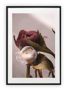 Plakaty - Plakat B1 70x100 cm Kwiaty Rośliny WZORY - miniaturka - grafika 1