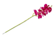 Sztuczne kwiaty - Kwiat Orchidea ORCHES fuksja / 60 / 70% tkanina/25% plastik/5% drut - miniaturka - grafika 1
