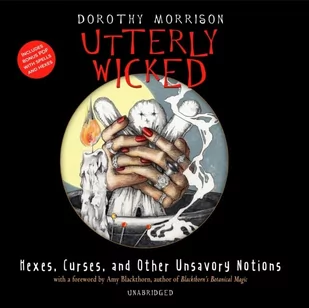 Utterly Wicked - Audiobooki obcojęzyczne - miniaturka - grafika 1
