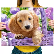 Zabawki kreatywne - Haft Diamentowy Diamond Painting,DIAMENTOWY MALARZ,Obraz DIY 5D,Mozaika Diamentowa 30x40, Pies - miniaturka - grafika 1