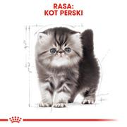 Sucha karma dla kotów - ROYAL CANIN Persian Kitten 2kg + niespodzianka dla kota GRATIS! - miniaturka - grafika 1