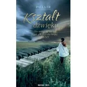 Literatura obyczajowa - Kształt dźwięku - miniaturka - grafika 1