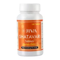 Suplementy diety - JIVA AYURVEDA JIVA Ayurveda Shatavari 120 t. układ hormonalny DV2110 - miniaturka - grafika 1