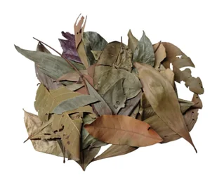 EXO PLANET Jungle Mix Leaves – liście z dżungli 40g - Dekoracje do terrarium - miniaturka - grafika 1