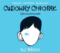 Audiobooki dla dzieci i młodzieży - Cudowny chłopak - miniaturka - grafika 1