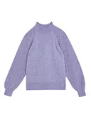 Swetry damskie - DeFacto Sweter normalny krój dla kobiet - sweter z golfem na topy damski (fioletowy, XL), fioletowy, XL - miniaturka - grafika 1