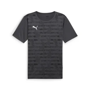 Męska koszulka z grafiką individualRISE PUMA Asphalt Gray - Koszulki sportowe męskie - miniaturka - grafika 1
