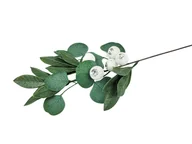 Ozdoby bożonarodzeniowe - Dekoracja gałązka ozdobna Eukaliptus z białymi kulkami - 49 cm - 1 szt. - miniaturka - grafika 1