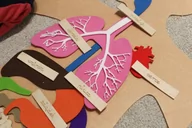 Łamigłówki - Części ciała z filcu - miniaturka - grafika 1