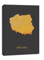 Obrazy i zdjęcia na płótnie - Polska mapa złota - obraz na płótnie Wymiar do wyboru: 40x60 cm - miniaturka - grafika 1