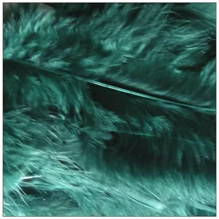 Piórka Zielone Ciemne, D-A-S - Pasmanteria - miniaturka - grafika 1