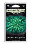 Gry planszowe - Galakta Horror w Arkham LCG: Gdzie mieszkają Bogowie - miniaturka - grafika 1