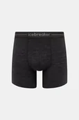 Bielizna sportowa męska - Icebreaker - miniaturka - grafika 1
