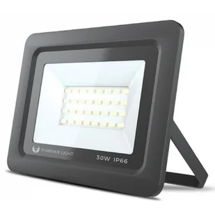 Forever Light Naświetlacz LED PROXIM 30W - biały zimny RTV003616 - Lampy pozostałe - miniaturka - grafika 1