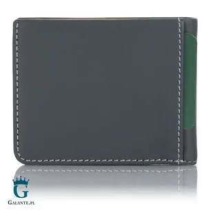 Cienka skórzana banknotówka męska Visconti VSL-42 z RFID - Portfele - miniaturka - grafika 3