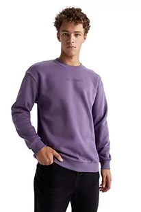 DeFacto Sweter męski z długim rękawem - okrągły dekolt bluza męska (fioletowy, XL), liliowy, XL - Swetry męskie - miniaturka - grafika 1