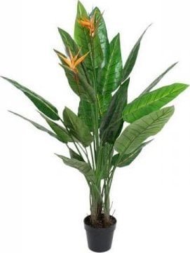 DKD Home Decor Roślina Dekoracyjna DKD Home Decor PVC 100 x 100 x 145 cm